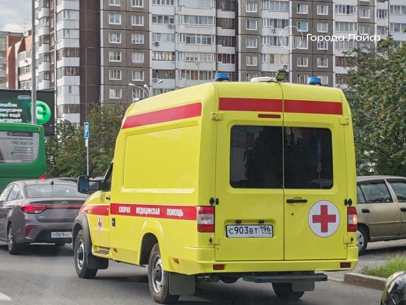 «Сама напоролась»: петербуржца заподозрили в нападении с ножом на пожилую жену