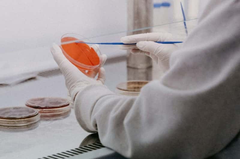 Прорыв в борьбе с ВИЧ: ученые нашли способ "рассекретить" вирус в клетках