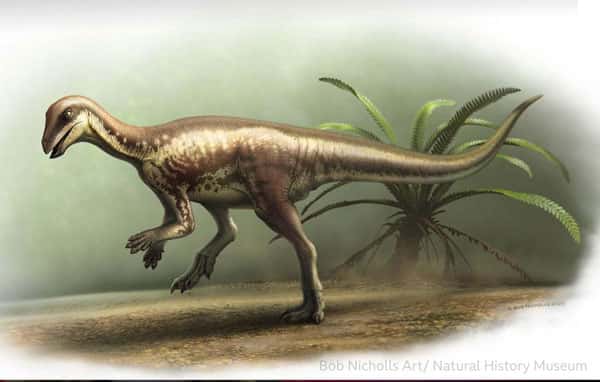 Ученые нашли новый вид динозавра: он был размером с лабрадора и жил на территории США