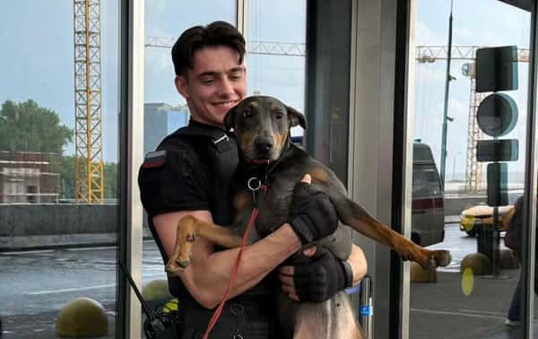 Игнатий - новый секс-символ аэропорта «Внуково»: как обычный охранник стал звездой соцсетей и сердец миллионов. Видео