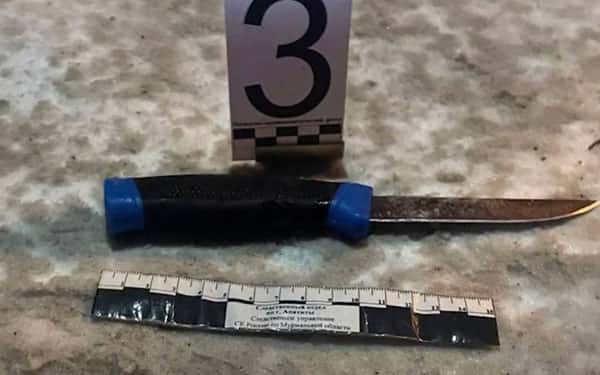 На Урале пьяный отец зарезал сына, мешавшего ему спать из-за громкой онлайн-игры