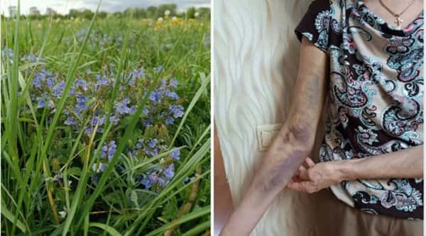 Учительницу литературы приняли за закладчицу и избили в Рязани