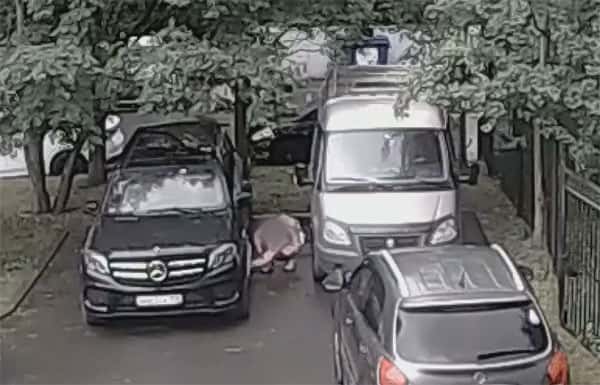 Москвичка пыталась подорвать автомобиль сотрудника ОПК в Санкт-Петербурге. Видео