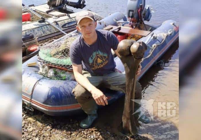 Рыбак нашел кость мамонта на берегу реки в Свердловской области