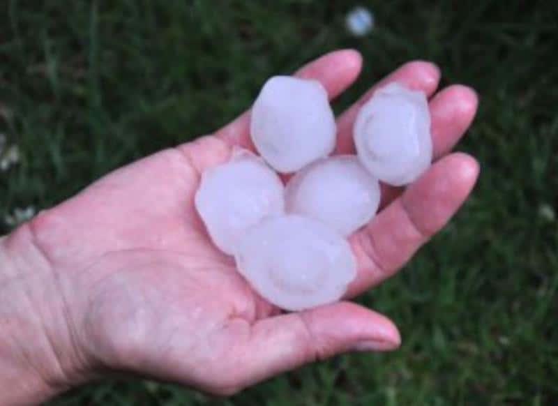 Град, ветер и падающие деревья: стихия ударила по Подмосковью и Ярославлю  