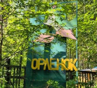 Медика из иркутского лагеря «Орленок» обвиняют в домогательстве над школьницами