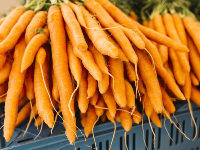 Морковь в России подскочила в цене почти на 5% за неделю 