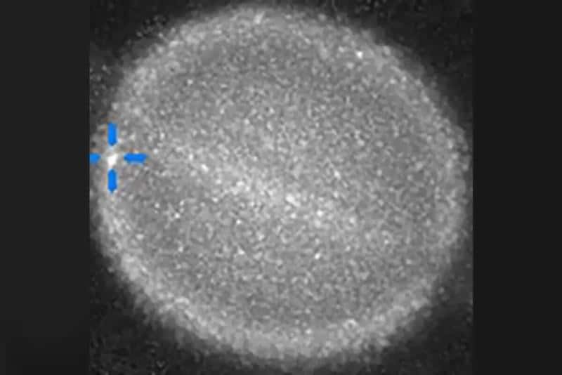 Астроном-любитель запечатлел первое в истории столкновение космического объекта с Сатурном