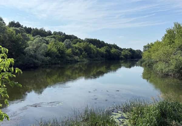 Мать десяти детей погибла в Мордовии, спасая тонущую дочь