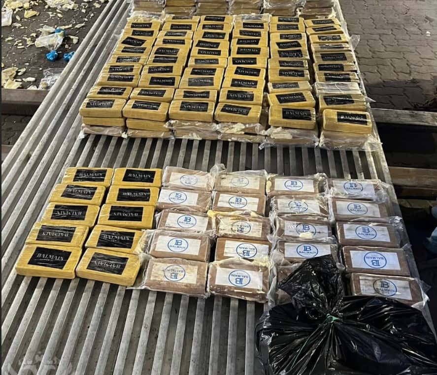 820 кг кокаина в бананах: в Санкт-Петербурге предотвращен ввоз крупнейшей партии наркотиков