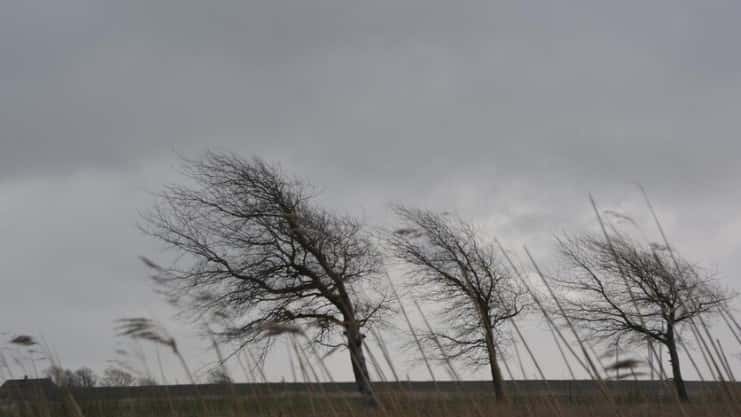Ветер 15 м/с и гроза: москвичей предупредили о неблагоприятных погодных условиях