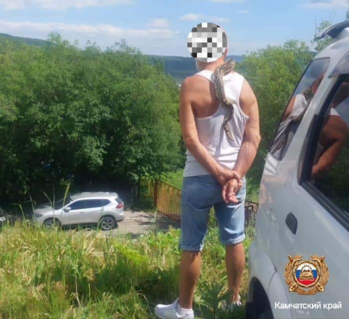 Приехал пьяным и со змеей: на Камчатке 63-летний гражданин хотел вернуть права, но попал под арест