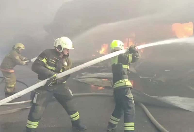 Трагедия в волгоградском приюте для животных: около 30 собак погибли в огне