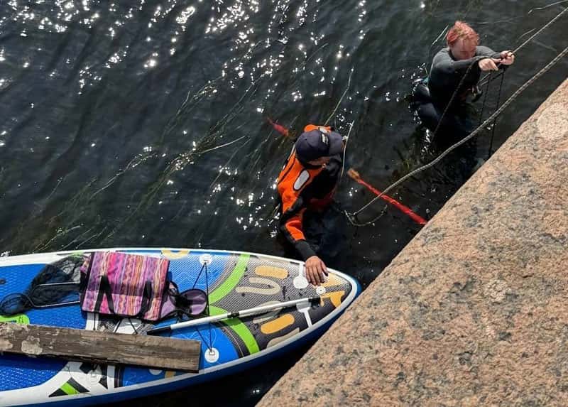 Четыре дня спасательных операций: кот застрял на набережной Фонтанки