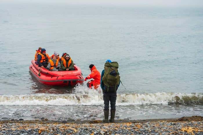 Российские ученые нашли кладбище китов в Арктике: находка может изменить представление о климате