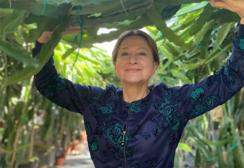 Гороскоп на конец августа 2025: личная жизнь Раков, Львов, Водолеев и Рыб