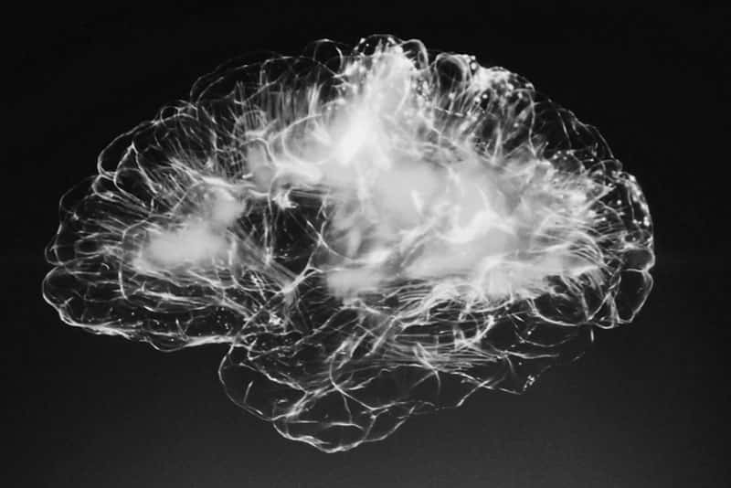 Нейроинтерфейс в США: алгоритм превращает мозговые сигналы в текст с точностью до 74%