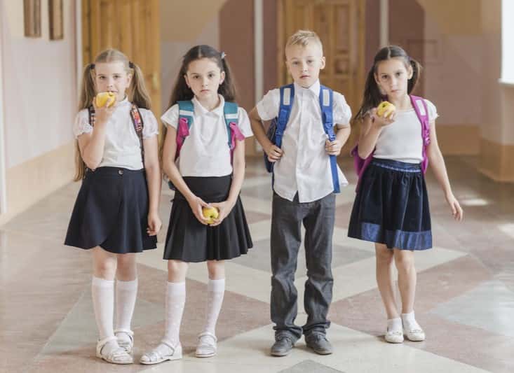 Сборы в школу подорожали на 5%: «школьный набор» обойдётся в 16,5–18,6 тысяч рублей