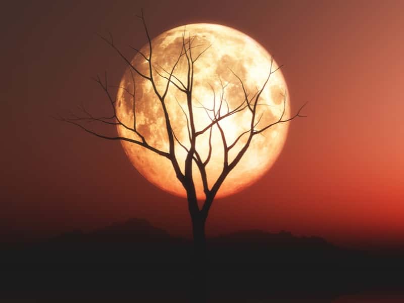 7 сентября 2025: полное лунное затмение над Уралом — когда и где смотреть