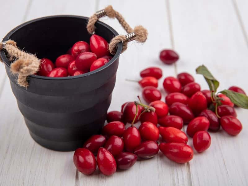 Как укрепить иммунитет осенью: полезные ягоды, пряности и простые рецепты