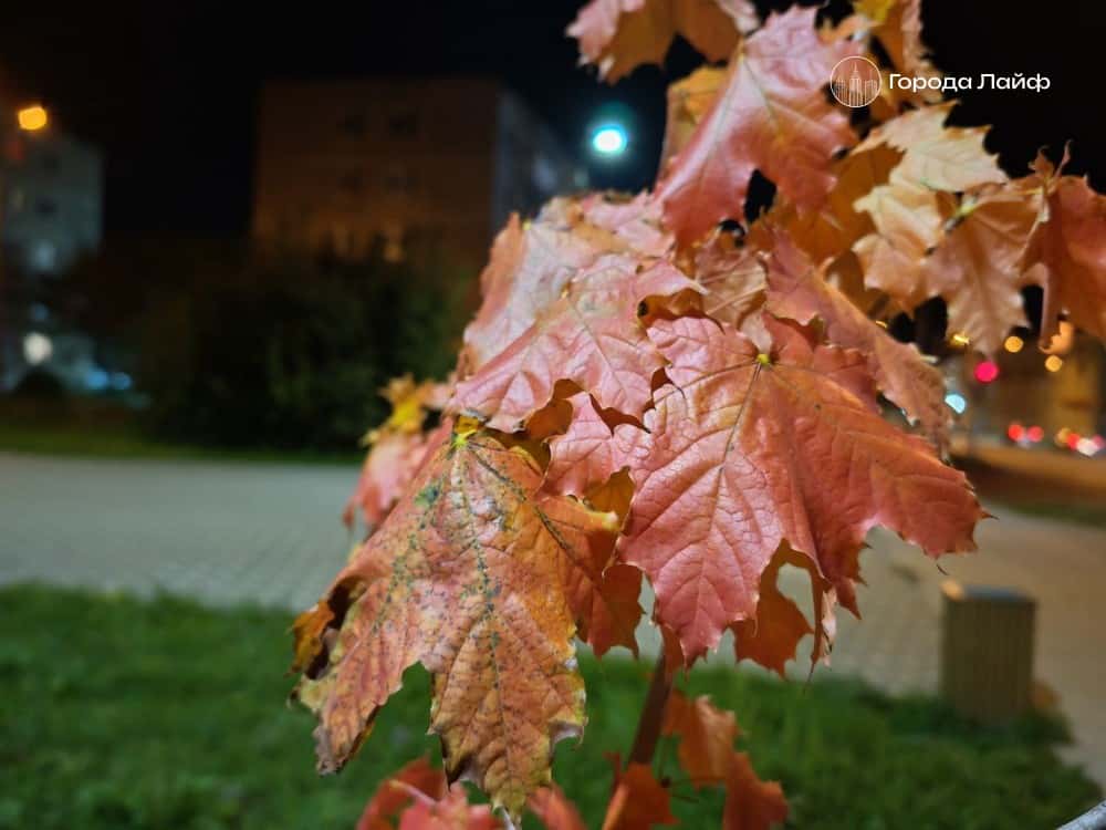 Народные приметы 5 октября 2025 года и церковные праздники