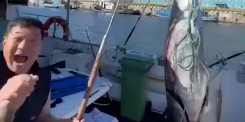 Российские рыбаки добыли тунца стоимостью свыше 160 миллионов рублей