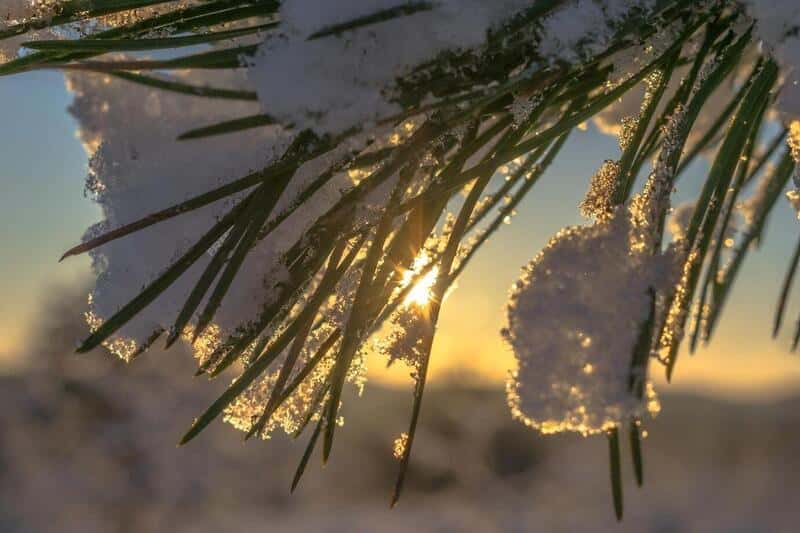 Афанасьев день: приметы, запреты и церковные праздники 6 ноября