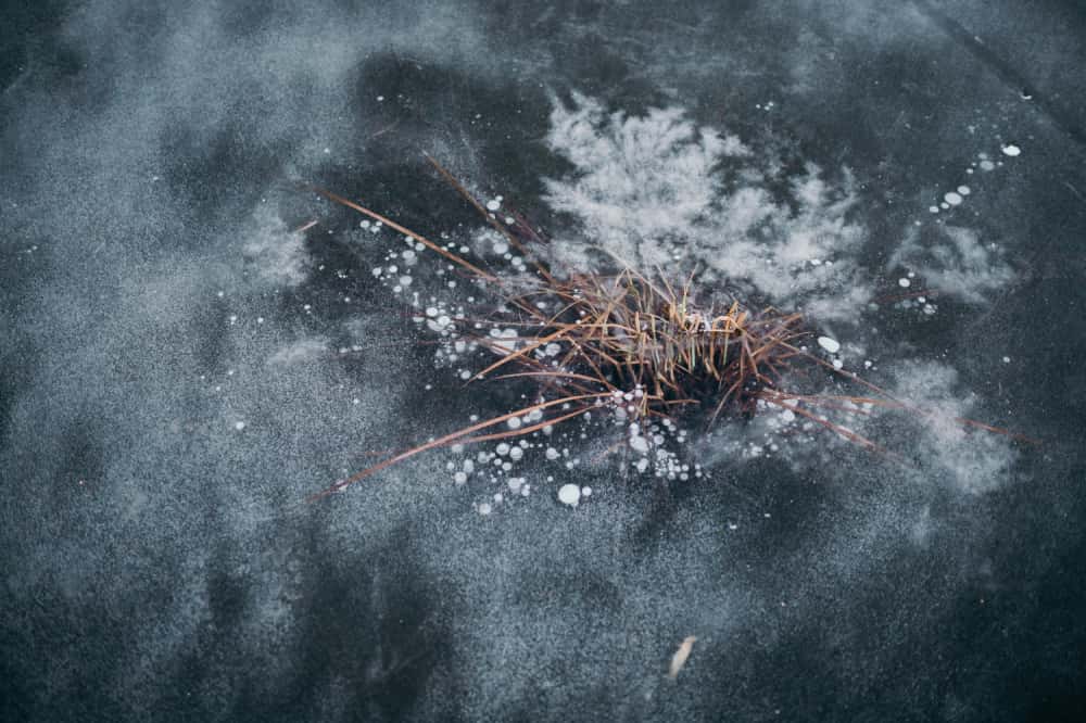 Что можно и нельзя делать 19 ноября: традиции Павла Ледостава