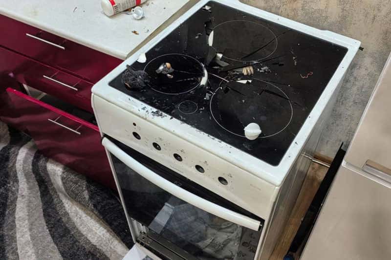 В Новосибирске собака случайно вызвала взрыв в квартире: МЧС объяснило причины инцидента