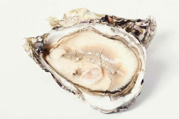 Намибия начнет поставки устриц, спаржи и винограда в Россию