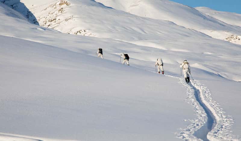 Пушков: будущее Гренландии зависит от позиции Трампа, а не Дании
