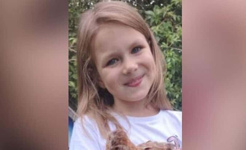 В Смоленске ищут 9-летнюю девочку, исчезнувшую после прогулки с собакой