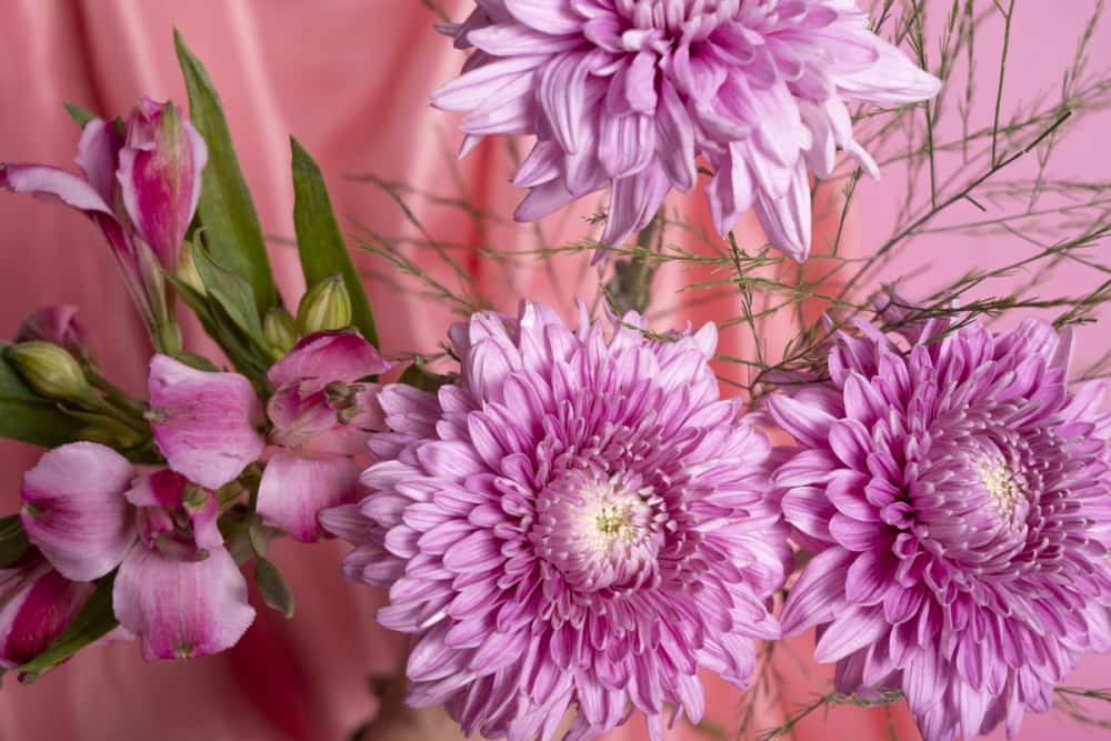 Магазин, отказавший мальчику в цветах к 8 Марта, извинился и подарил семье два букета