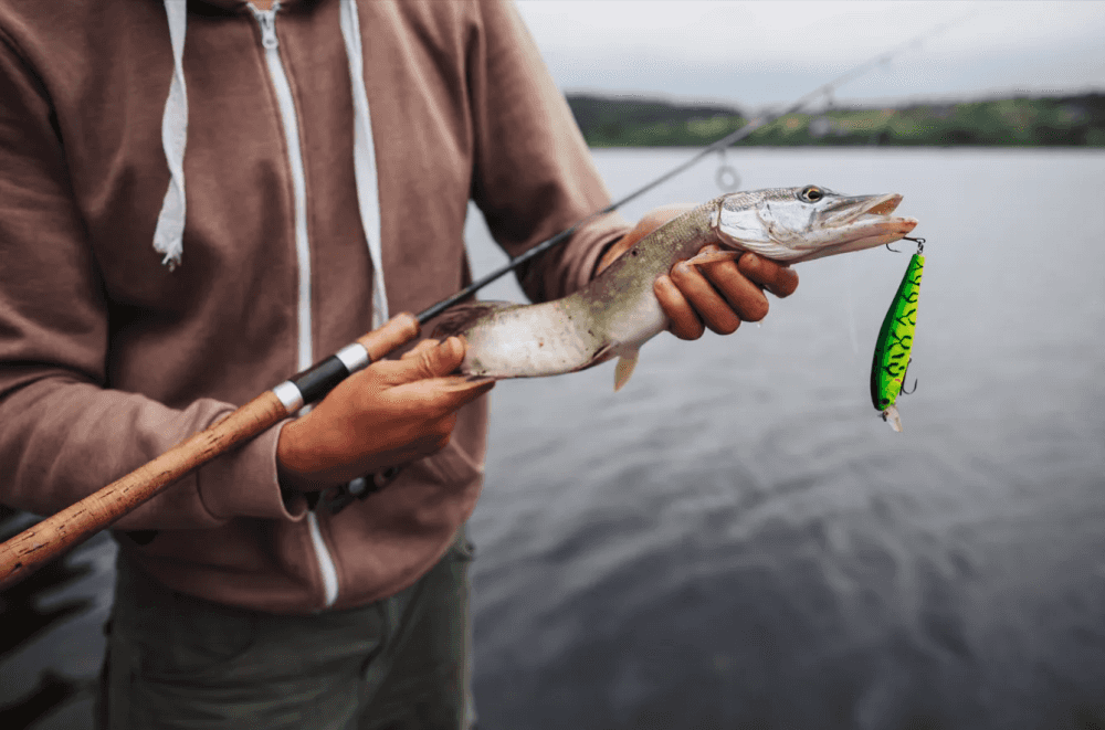 Рыбалку открыли по всей России: где сейчас клюёт лучше всего и куда ехать за уловом