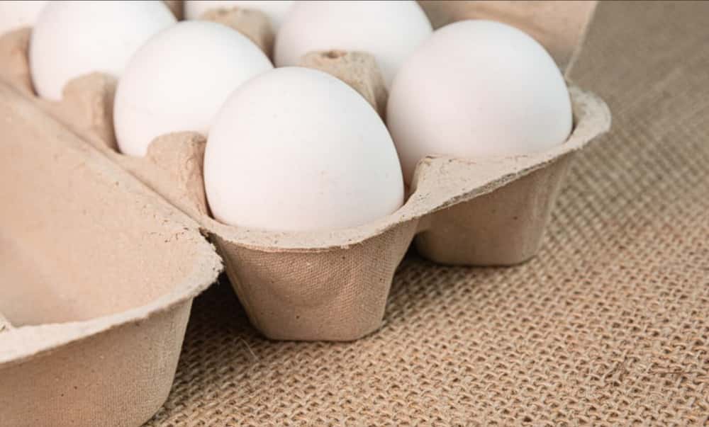 ФАС взяла под контроль цены на куриные яйца: что грозит производителям за необоснованный рост — разбор