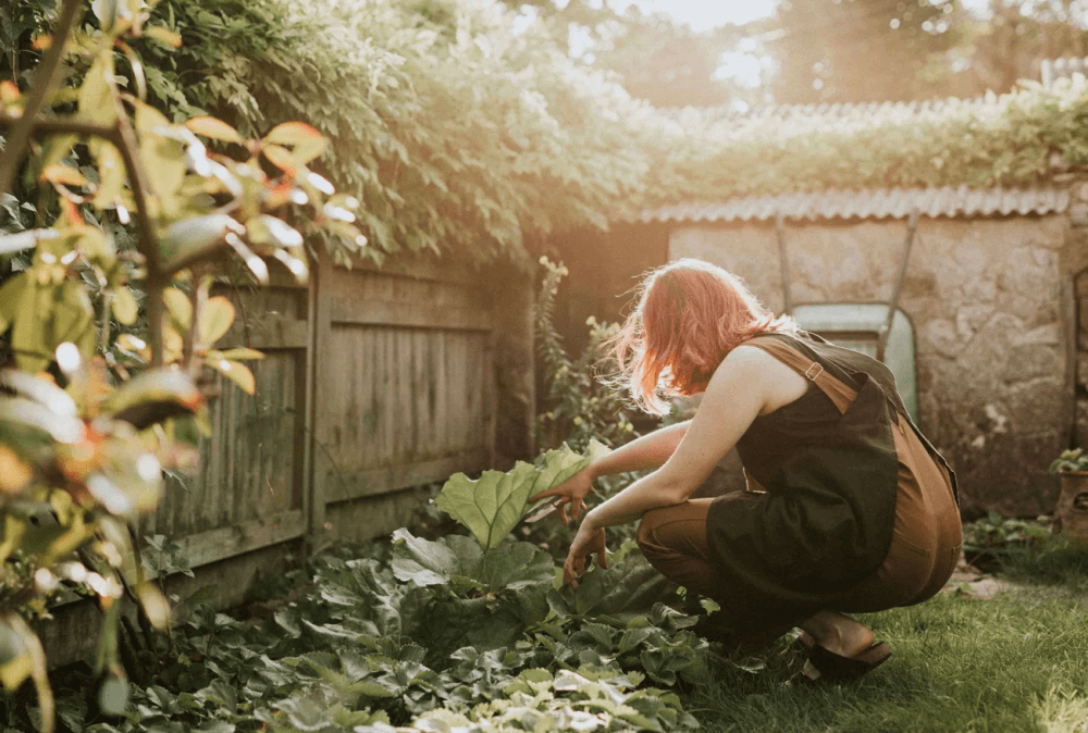 15 лет — и дом ваш: как оформить бесхозную недвижимость по приобретательной давности