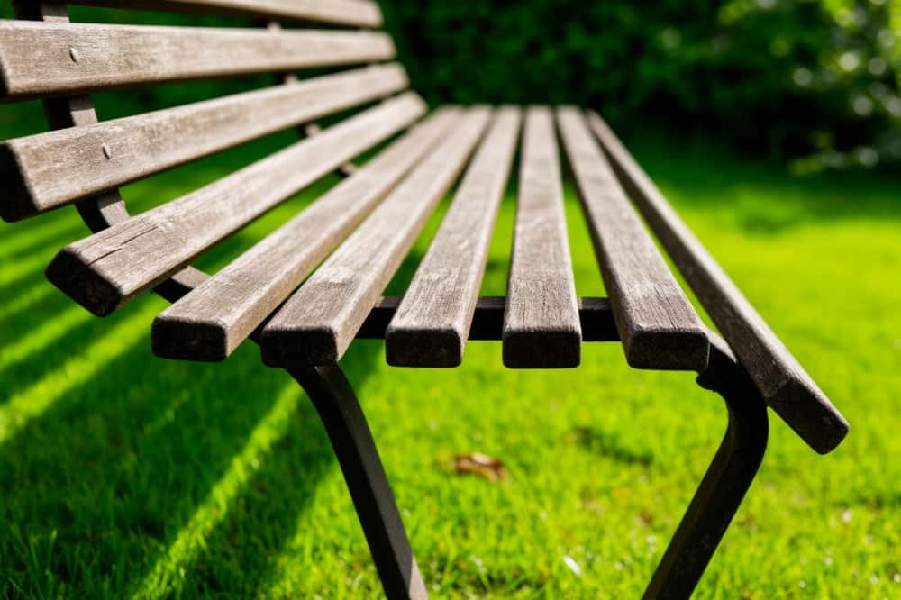 Социальная скамейка» для бабушек и дедушек: депутаты предлагают сделать лавочки возле подъездов обязательными — разбираем инициативу