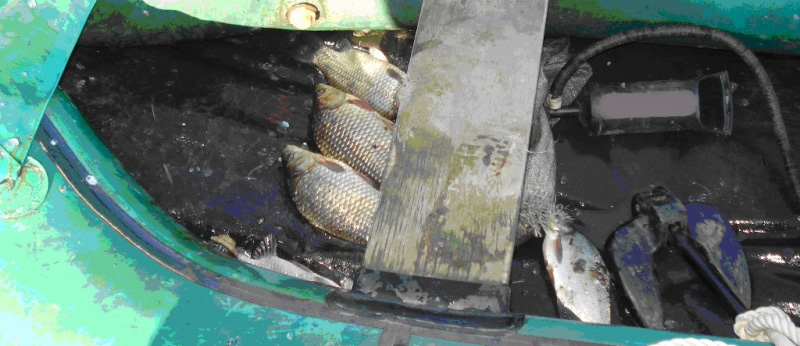 Сотрудники Приобского линейного пункта полиции выявили факт незаконного вылова рыбы