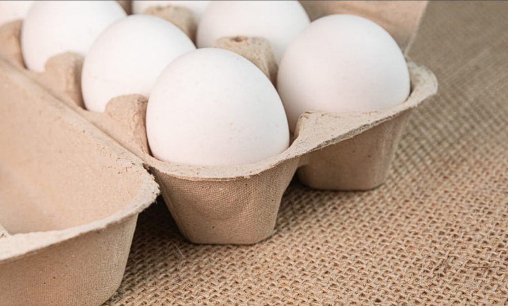 ФАС взяла под контроль цены на куриные яйца: что грозит производителям за необоснованный рост — разбор | ФАС запретила необоснованно поднимать цены на яйца — что это значит для покупателей