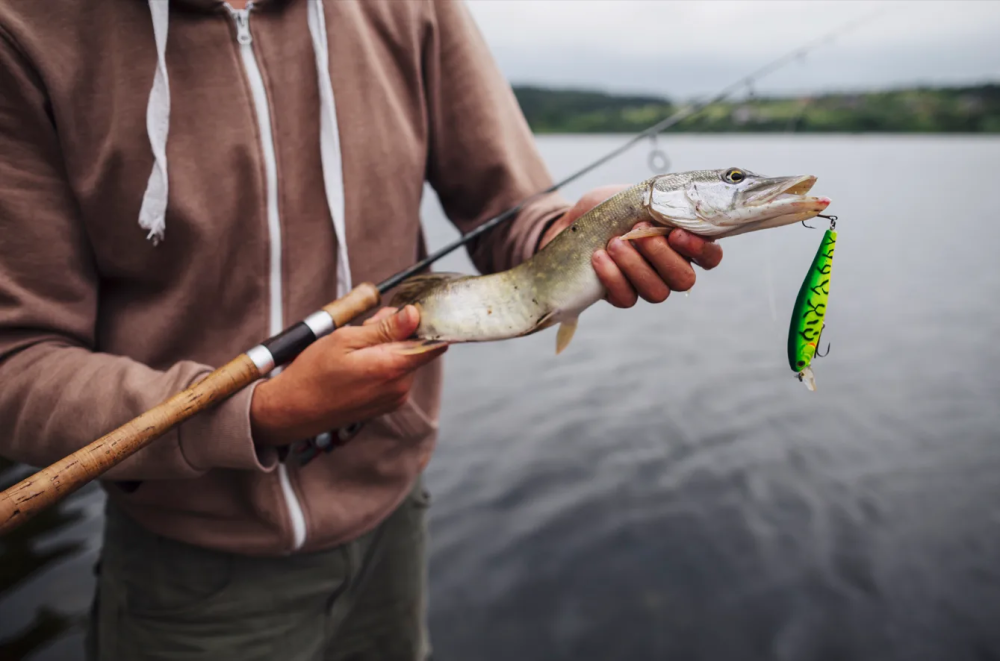 Рыбалку открыли по всей России: где сейчас клюёт лучше всего и куда ехать за уловом | Рыбалка открыта по всей России: топ‑мест с лучшим клёвом в этом сезоне