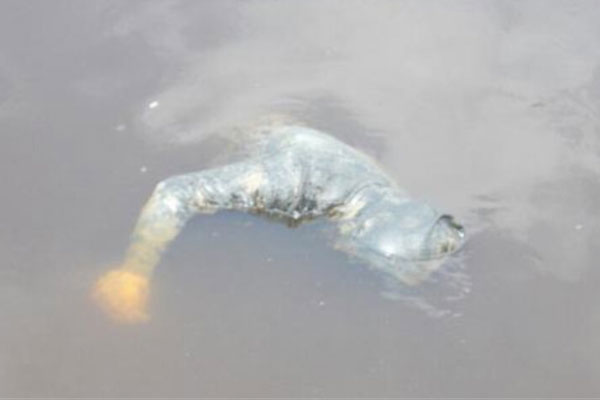 «Малыша намотало на винт». Лодочная прогулка обернулась для главы семейства сущим адом