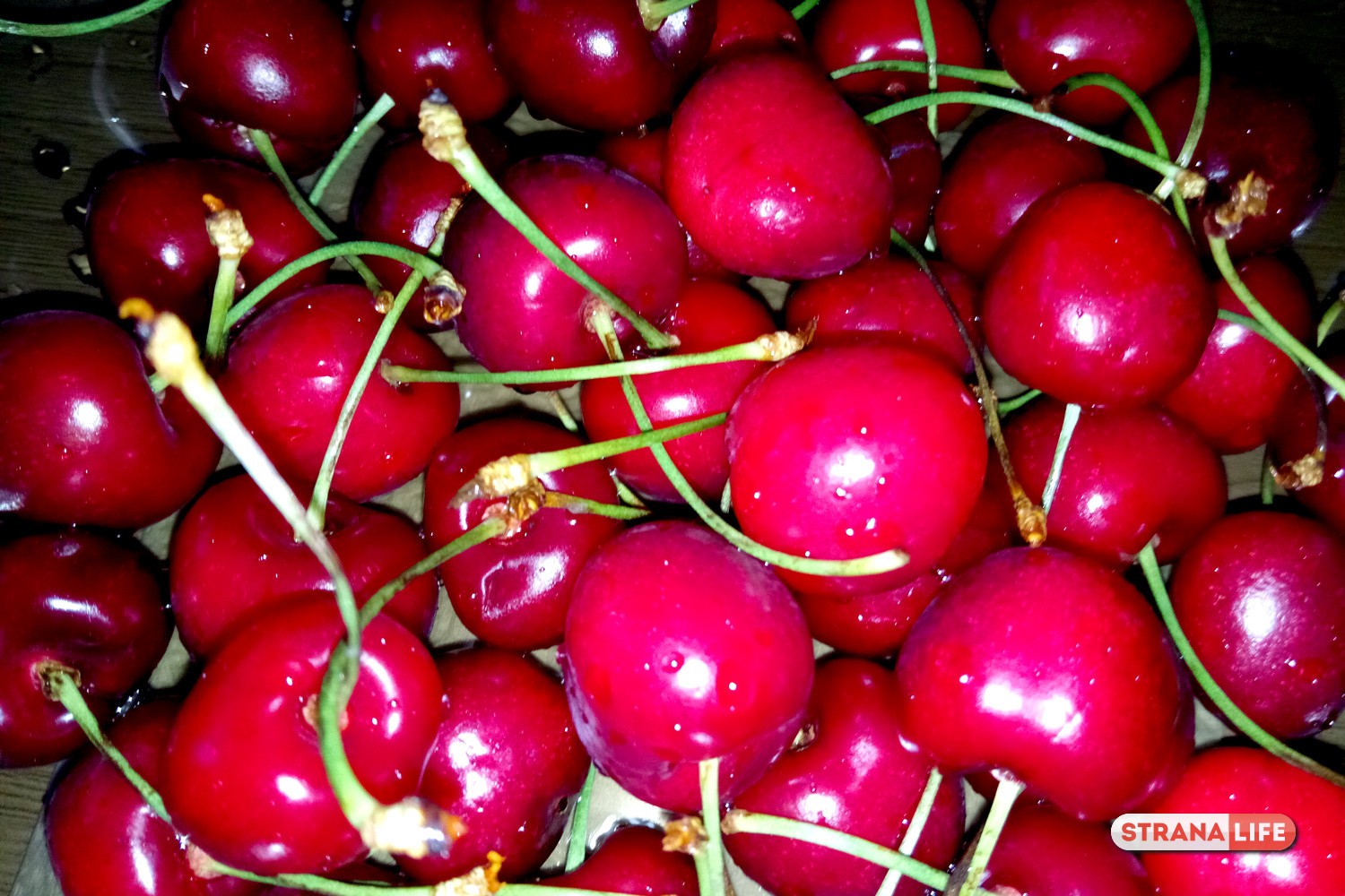 Семья из Наро-Фоминска отравилась, съев клубники и черешни