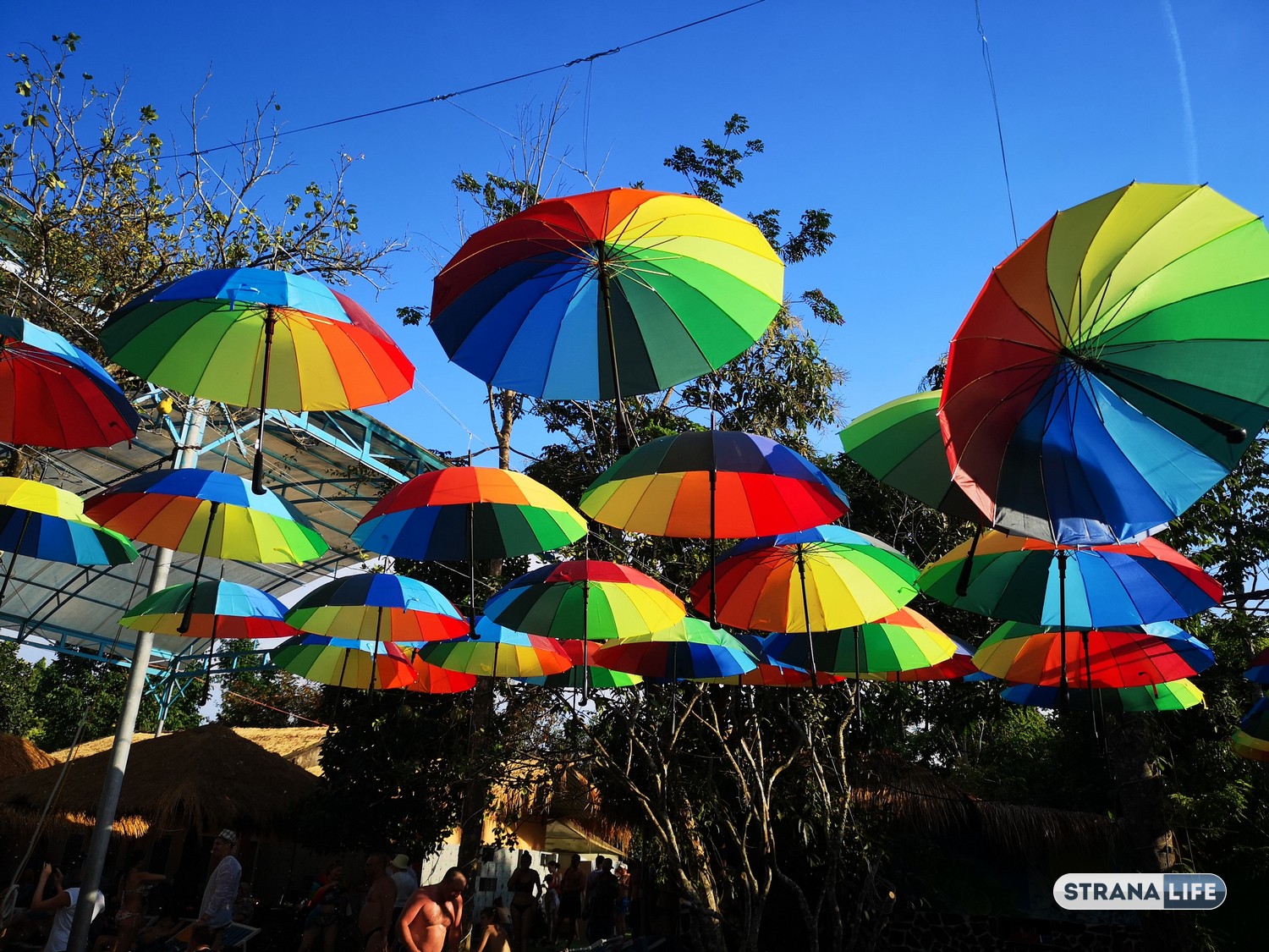 Корреспондент «Первого канала» осудил гей-парад в Лондоне