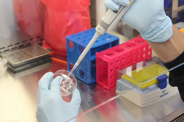 В России одобрили две новые противораковые вакцины: что известно | Минздрав РФ одобрил мРНК- и пептидную вакцины для лечения рака