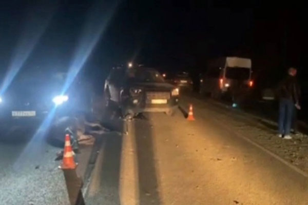 В Нижегородской области пять человек оказались в реанимации после встречи с лосем