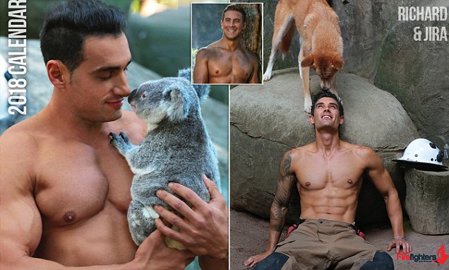Полуголые австралийские пожарные сфотографировались с коалами