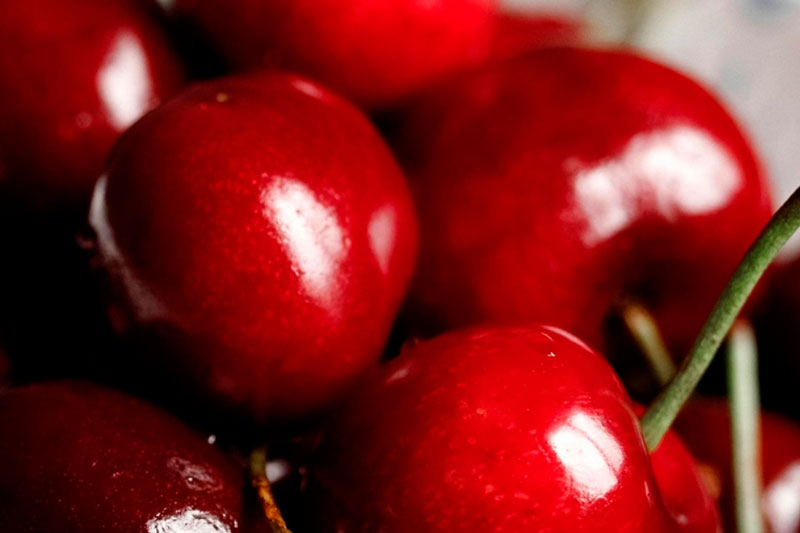 Катать всю вообще черешню: польза ягоды и опасность ее переедания | Врачи предупредили об опасности переедания черешни