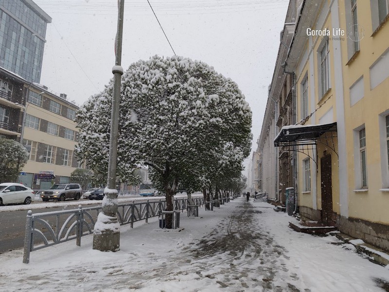 «Сугробы по колено»: на Кубани прошёл снегопад | В Краснодарский край пришли заморозки и выпал снег