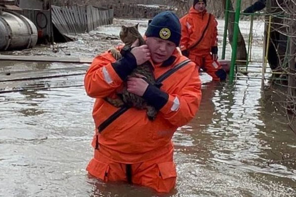 В Алтайском крае сотрудники МЧС на руках выносили из зоны паводка людей и зверей | Выносят на руках людей и животных. В Алтайском крае паводок