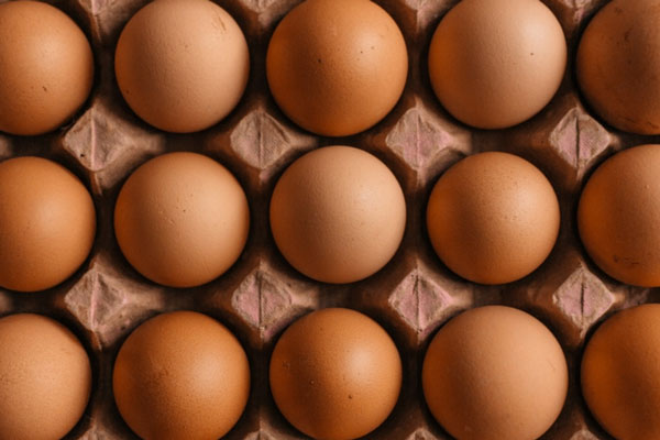 Кардиологи советуют перейти на обогащенные куриные яйца | Назван тип куриных яиц, не повышающих холестерин